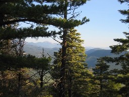 Baldy from Tooth Ridge